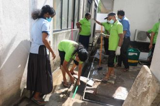 Dengue virus update showing mosquito control operations in Sri Lanka during the 2026 outbreak