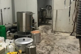 2 arrested as police uncover drug lab in Maaseik basement