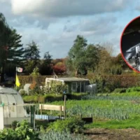 2 women prevent a hit-and-run after car crash in Waasmunster