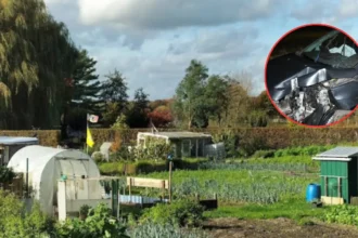 2 women prevent a hit-and-run after car crash in Waasmunster