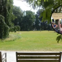 20 groups organise a protest party over 800 trees in Antwerp