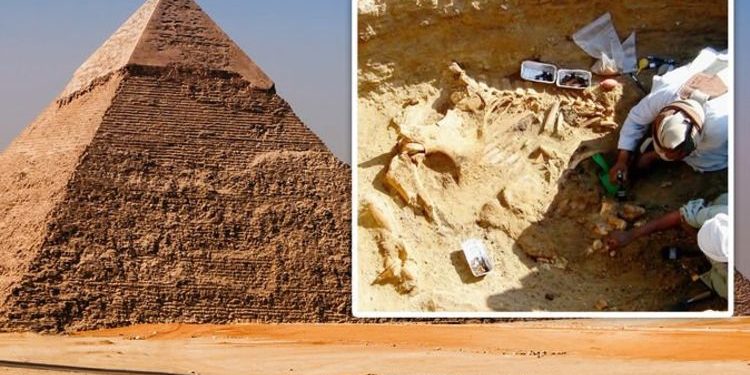 ‘Most exciting find in Egypt’ 6,000-year-old breakthrough rewrites ...