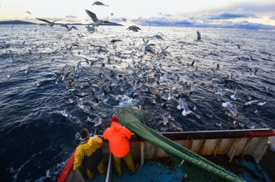 EU ministers reject the end of destructive fisheries