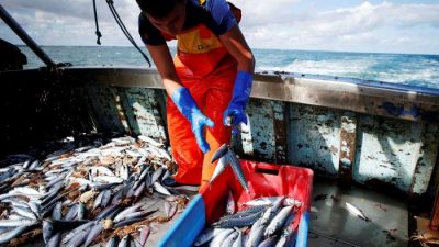 Blue Economy: Parliament calls for the end of destructive fishing practices