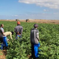 Israeli forces presence near farmland in central Gaza 2026