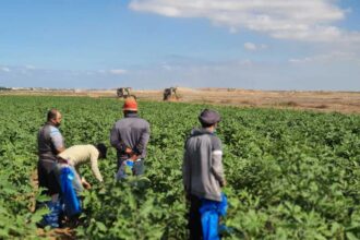 Israeli forces presence near farmland in central Gaza 2026
