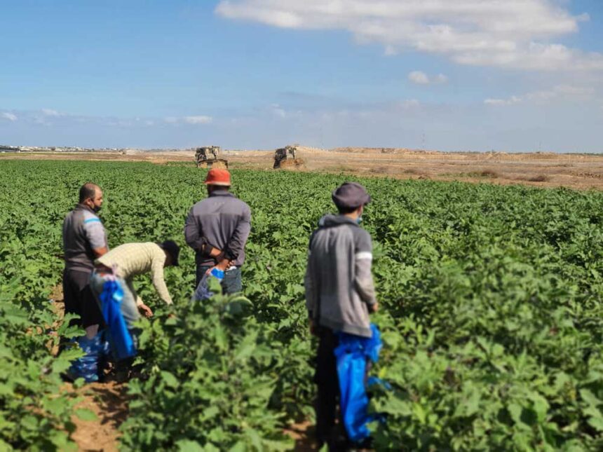 Israeli forces presence near farmland in central Gaza 2026
