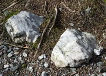 Close-up of quartz core rocks in the norwegian forest