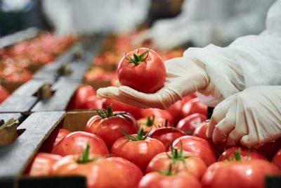 EU countries stall new pesticide rules, blame Ukraine war
