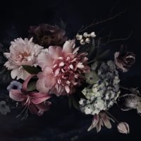Vintage,Flowers.,Peonies,,Tulips,,Lily,,Hydrangea,On,Black.,Floral,Background.
