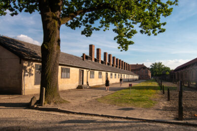 Schaerbeek gives the green light for the first Brussels animal crematorium