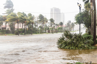 American Federalism Is Overmatched by Climate Change