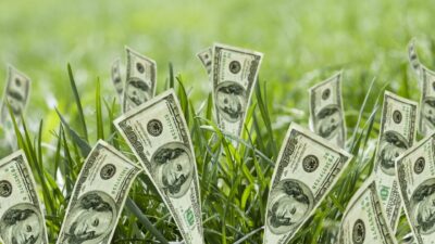 Seed Money: What it is, How to Get, Example (2024 Updated)