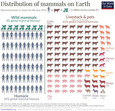 Killing wolves is not the solution