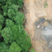 Deforestation,Aerial,Photo.,Rainforest,Jungle,In,Borneo,,Malaysia,,Destroyed,To