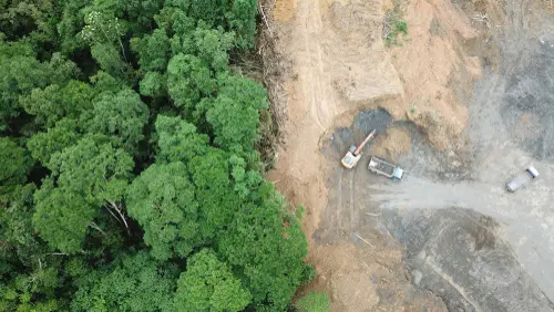 Deforestation,Aerial,Photo.,Rainforest,Jungle,In,Borneo,,Malaysia,,Destroyed,To