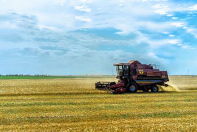 Belgian farmers increase cereal production due to food security concerns