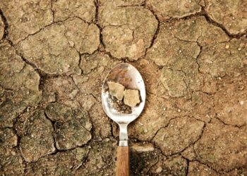 World Food Problem Concept. Environmental Impact. Food Shortage ,Global Issues in Agricultural Food Production. Cracked Soil, Desertification, Water, Pollution, Energy and Climate Change