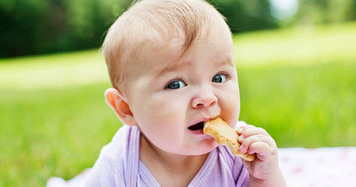 Are Teething Wafers Safe? Explore The Facts — Brussels Morning Newspaper Are Teething Wafers Safe? Explore The Facts — Brussels Morning Newspaper