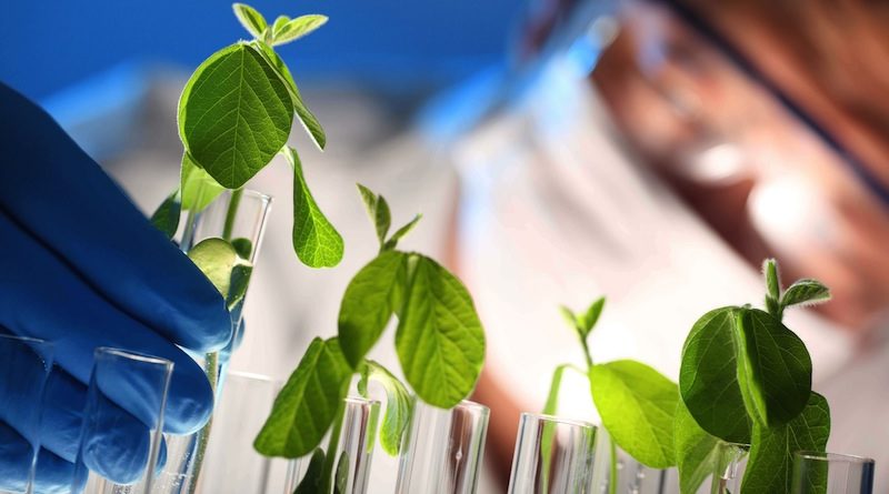 Spotlight on the Biofuels Industry: Key Insights from