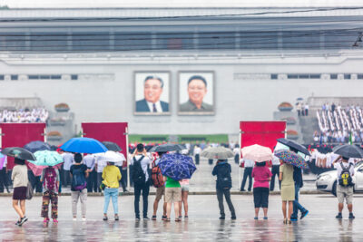The North Korean Magnolia