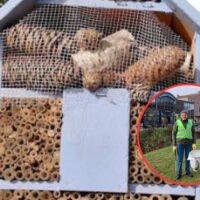 26,000 Mooimakers volunteers collect 1,100 tons in Flanders