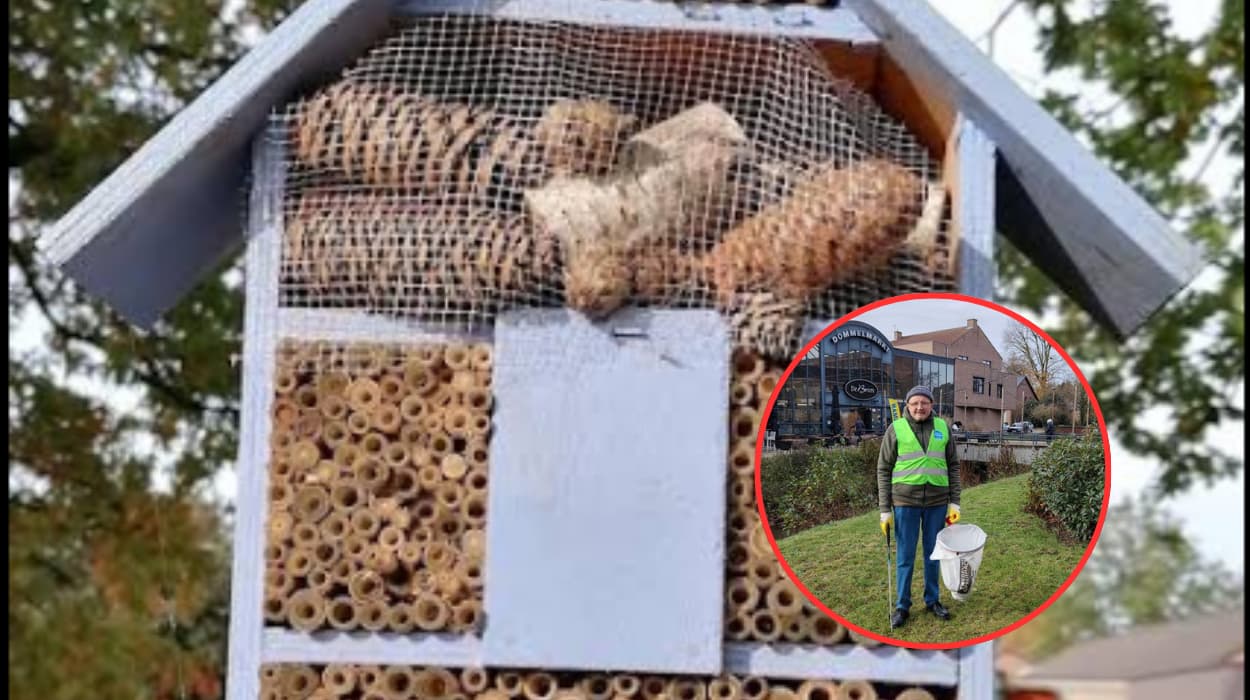 26,000 Mooimakers volunteers collect 1,100 tons in Flanders