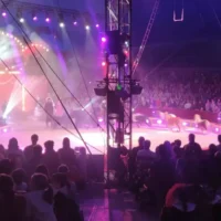 29th Sint in de Piste circus attracts 12,000 visitors in Sint-Niklaas