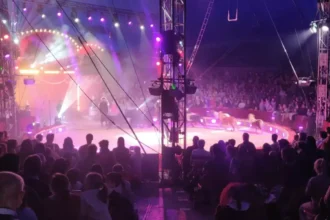 29th Sint in de Piste circus attracts 12,000 visitors in Sint-Niklaas