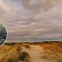 41-year-old arrested for Bredene dunes arson last weekend