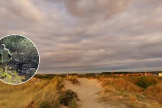 41-year-old arrested for Bredene dunes arson last weekend