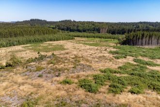 Brussels drought alert remains in force as dry conditions continue