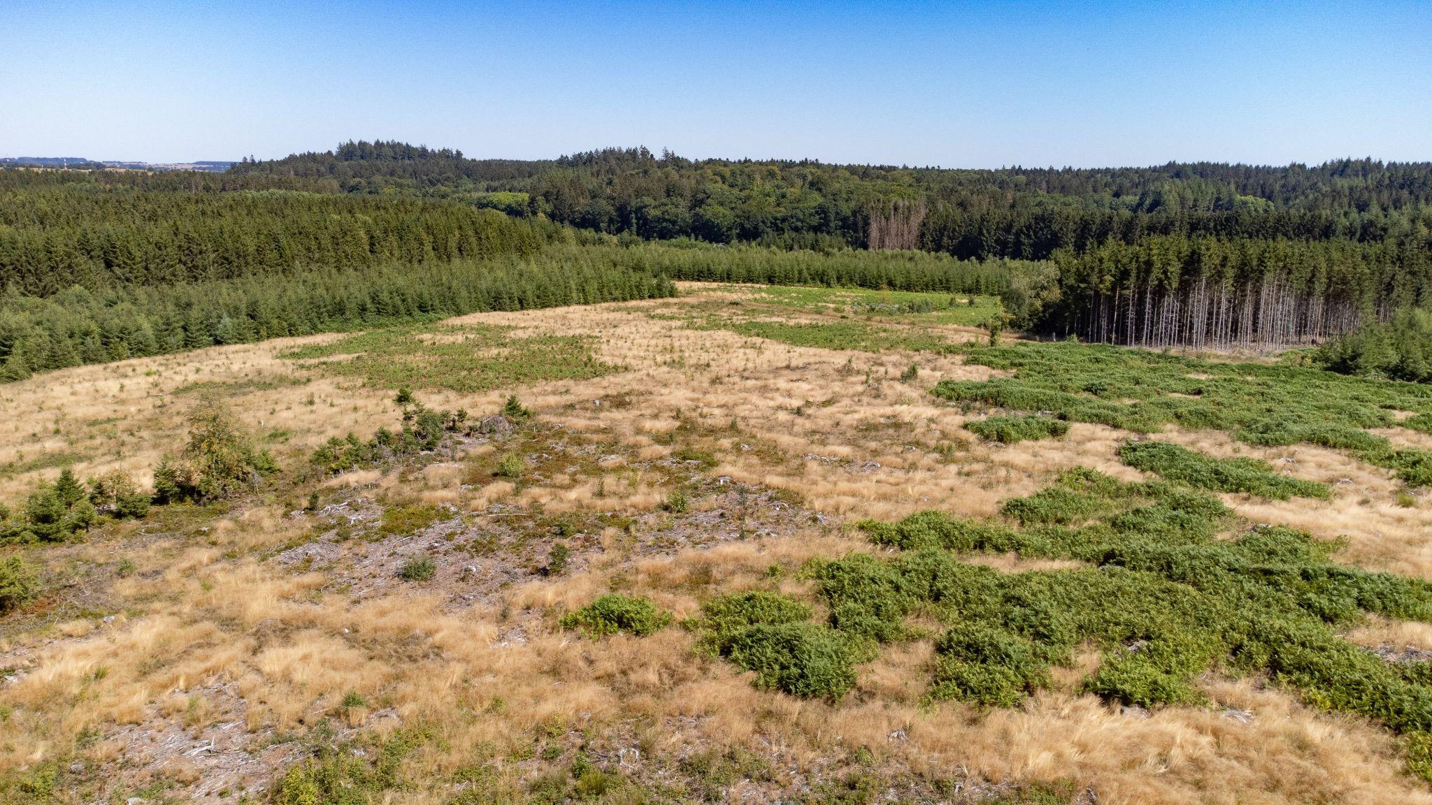 Brussels drought alert remains in force as dry conditions continue