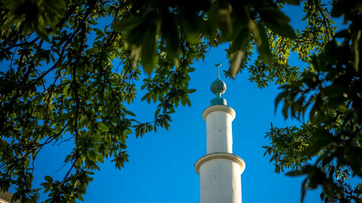 60 Vlaam Belang protest Fatih Mosque renovation in Ghent