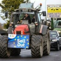 EU trade policy impact on European agriculture