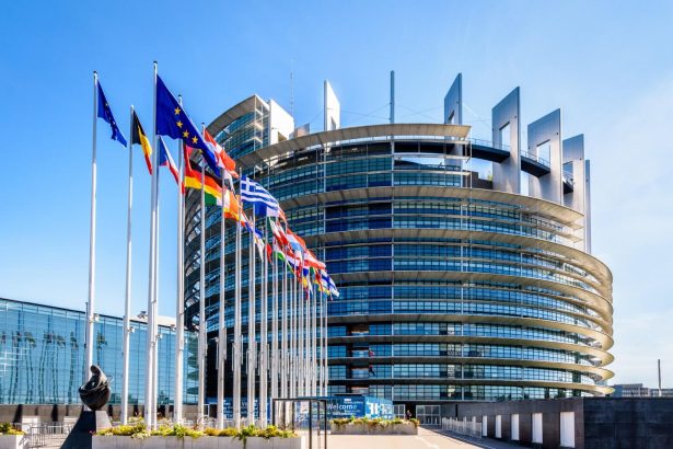 Taiwan rights activist urges European Parliament to confront China's transnational repression in Brussels.