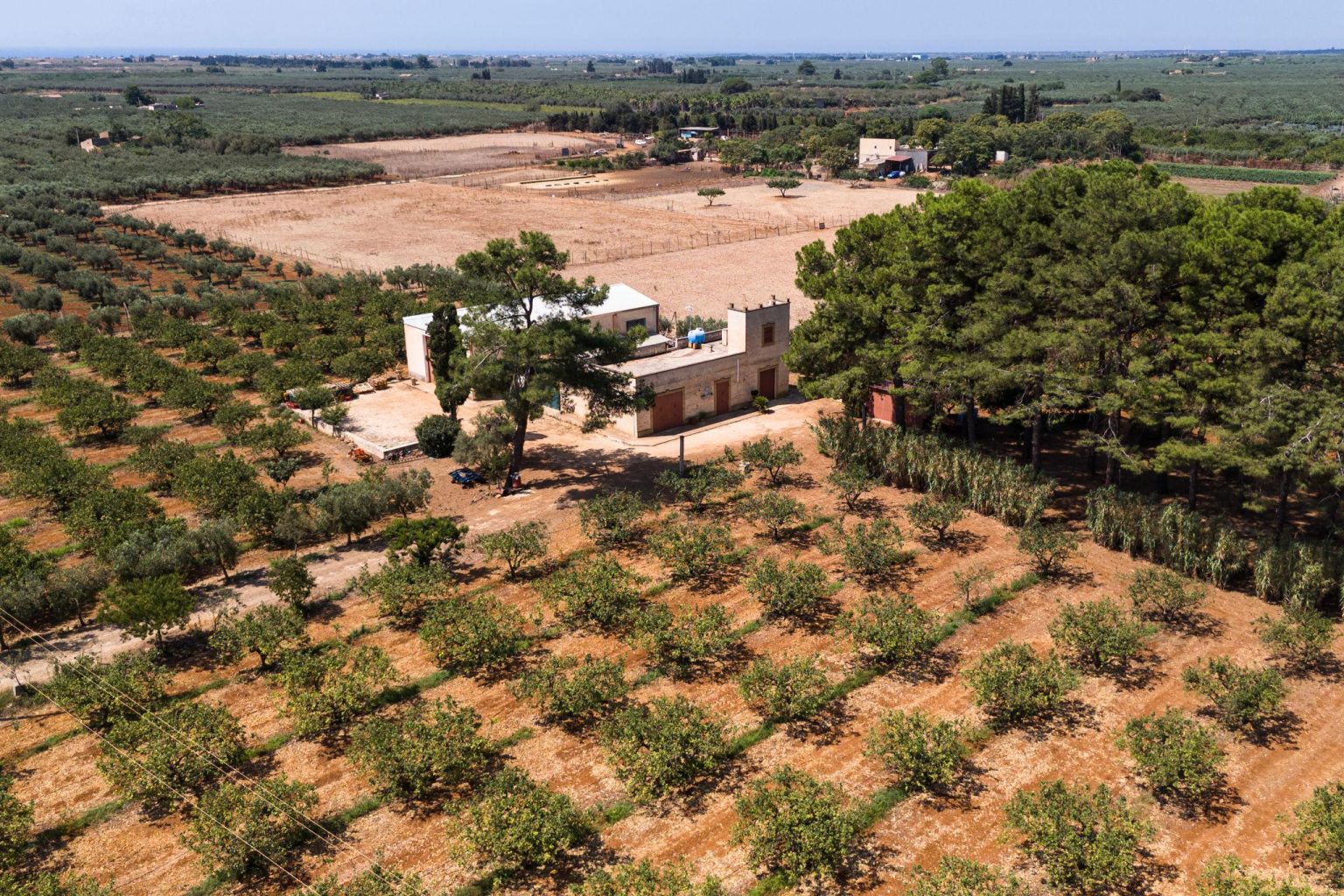 Sicily water crisis showing drought-affected farmland and dry landscape