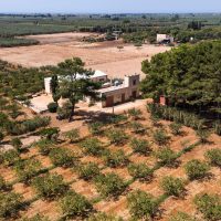 Sicily water crisis showing drought-affected farmland and dry landscape