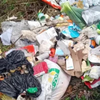 7 bags illegally dumped in Rumst, suspect found 