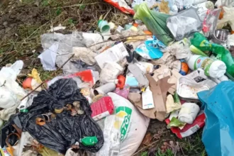 7 bags illegally dumped in Rumst, suspect found 