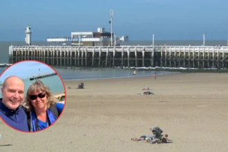7 seals return to Klein Strand Ostend after fence installation