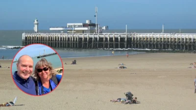 7 seals return to Klein Strand Ostend after fence installation
