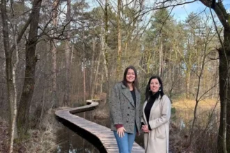 700 hectares of urban forest in Beringen handed to Bosgroep