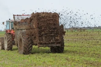 798 Flemish farms face manure ban, Limburg affected 