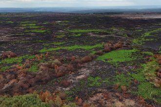 Belgian High Fens wildfire cited in climate command unit debate
