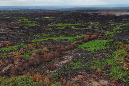 Belgian High Fens wildfire cited in climate command unit debate