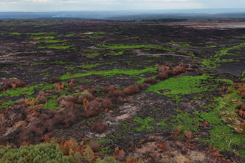 Belgian High Fens wildfire cited in climate command unit debate