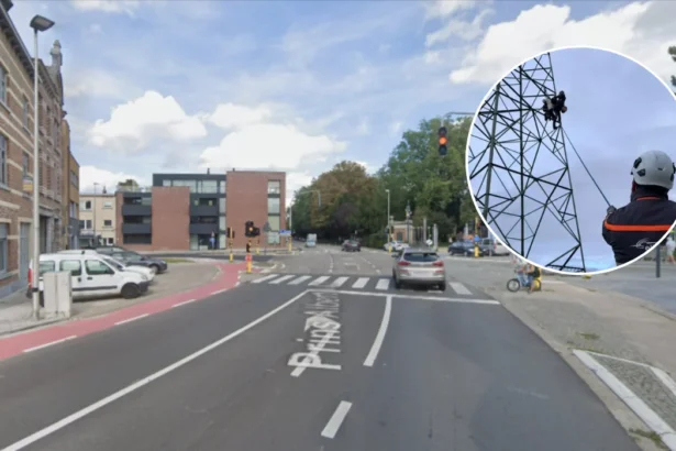 8 Kestrel nests moved on high-voltage line bw Tienen and Sint-Truiden
