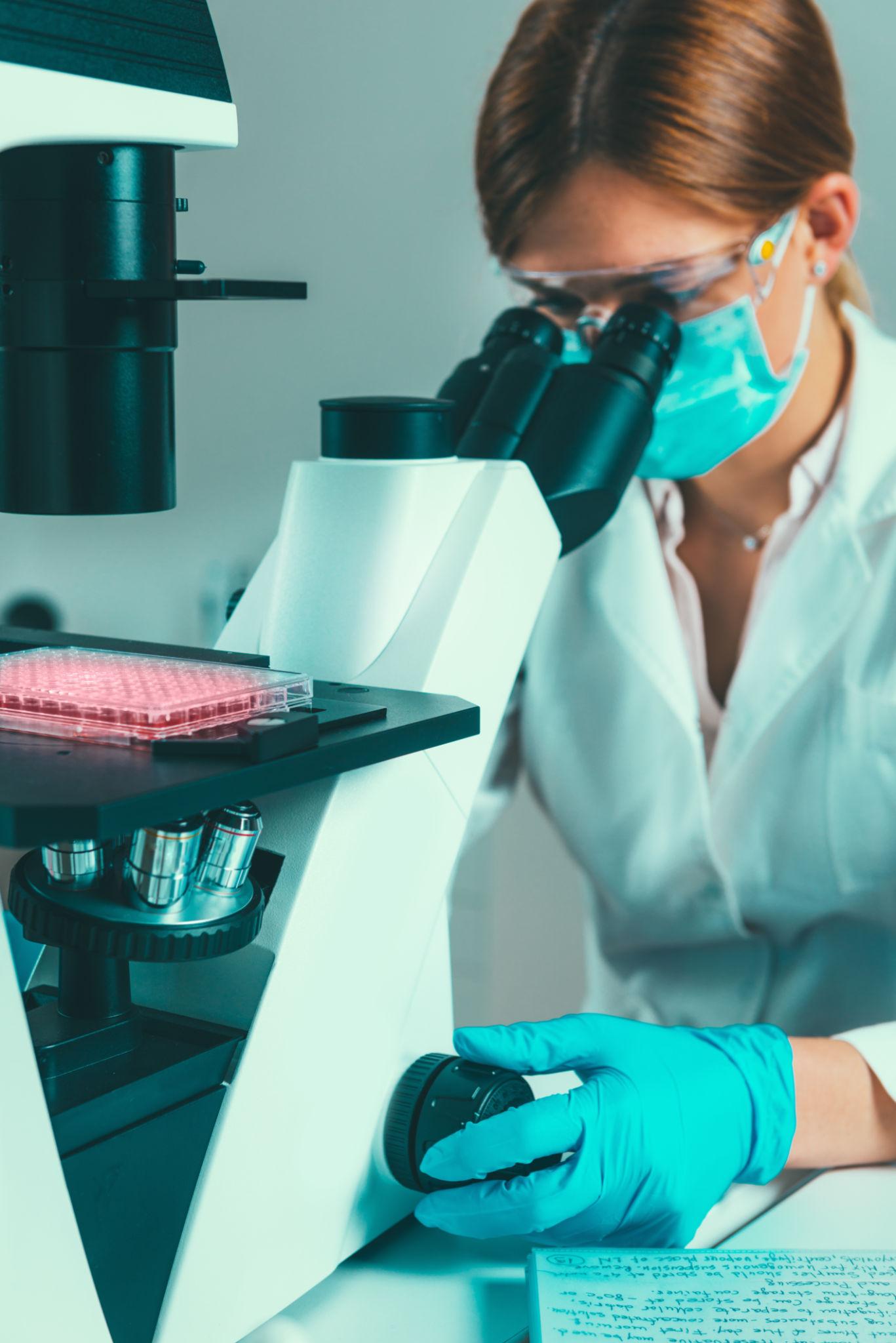 Global pharmaceutical market continues expanding through innovation and investment in 2026