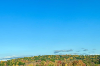 A Renewed Appreciation for Fall's Light in the Autumn of My Life